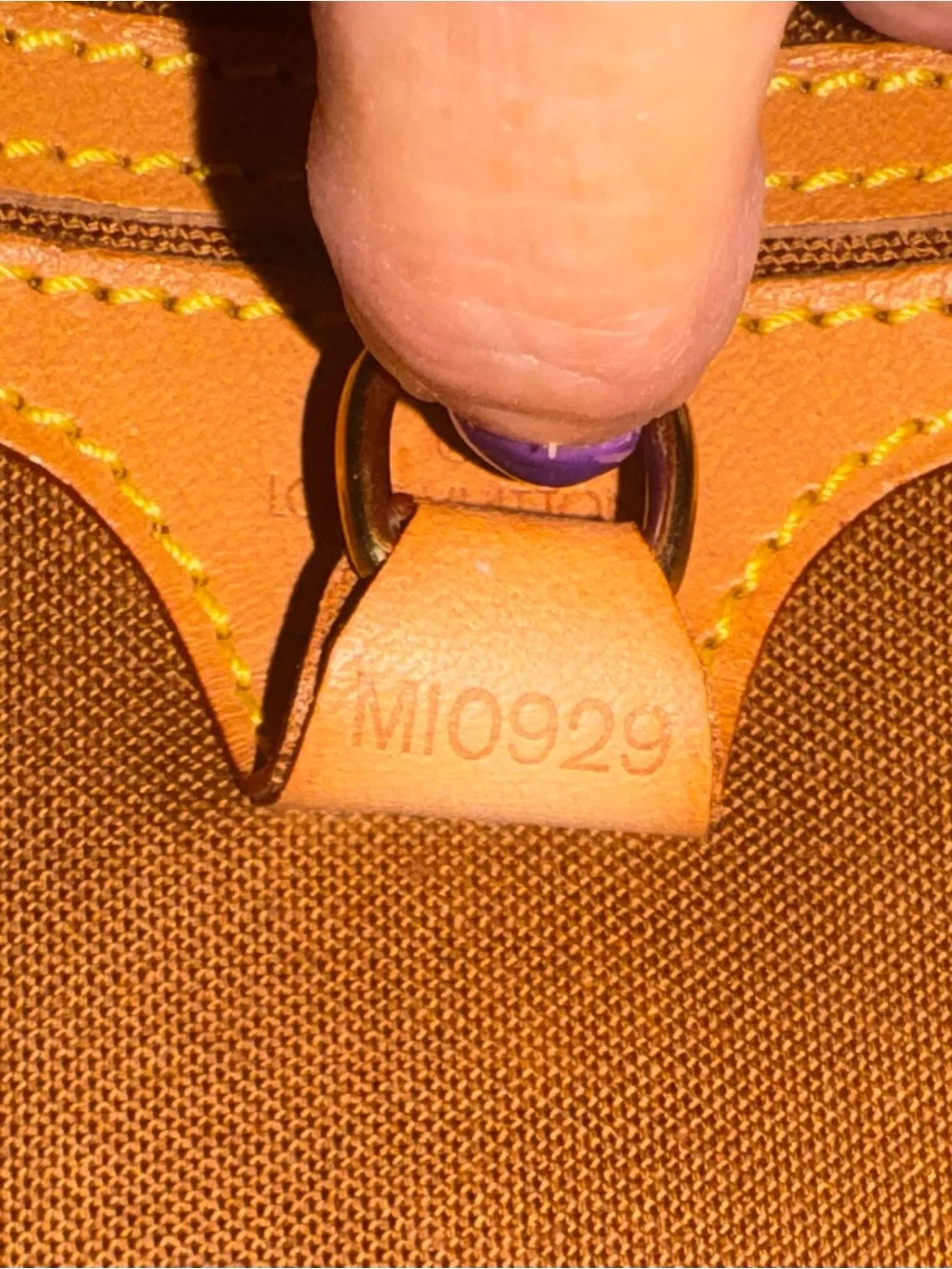Louis Vuitton iconic monogram